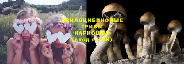 герыч Нея