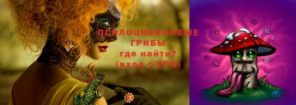 дмт Нефтегорск